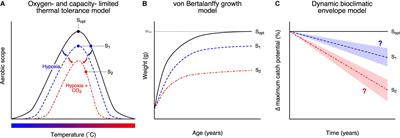 Ocean Acidification Amplifies Multi-Stressor Impacts on Global Marine Invertebrate Fisheries